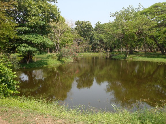 The lake from the first bridge looking North