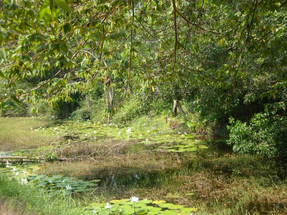 The lake forms a moat