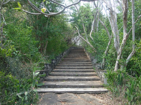 When we reached the treeline, we also reached 'proper' steps