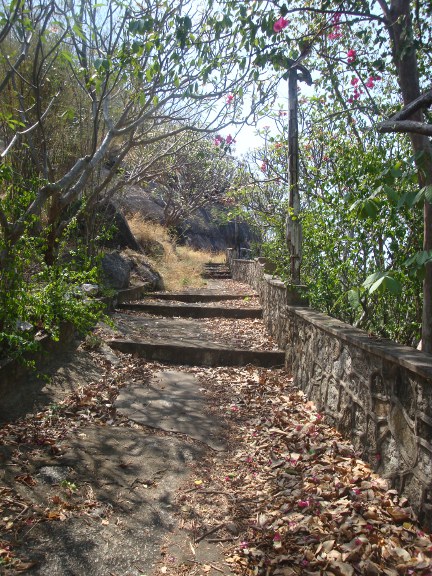 Pathway