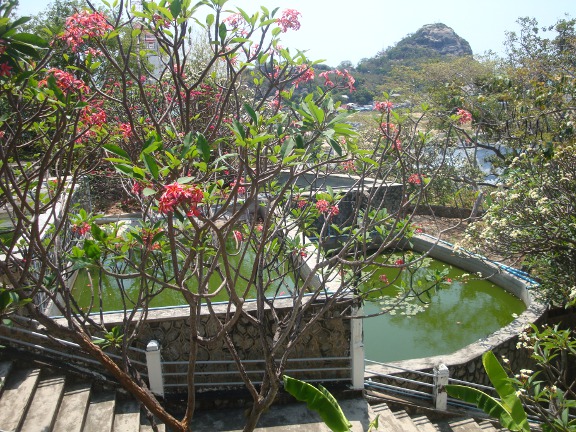 many ponds/lakes/bridges/waterfalls