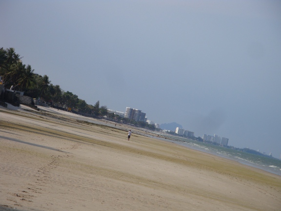 a bit of smell in the air, and the general colour of the sand started to turn a yucky colour