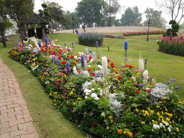 another flower garden