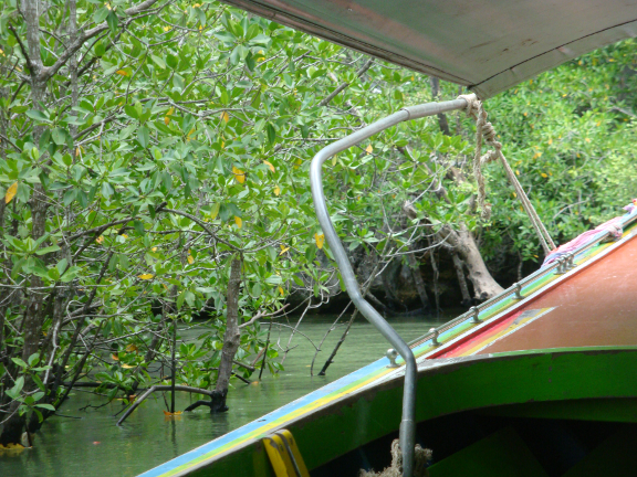 Our boat driver decided to maneuver his 50 foot long boat everywhere the canoes were going