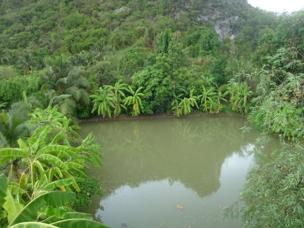 The grounds were quite nice, with a lake