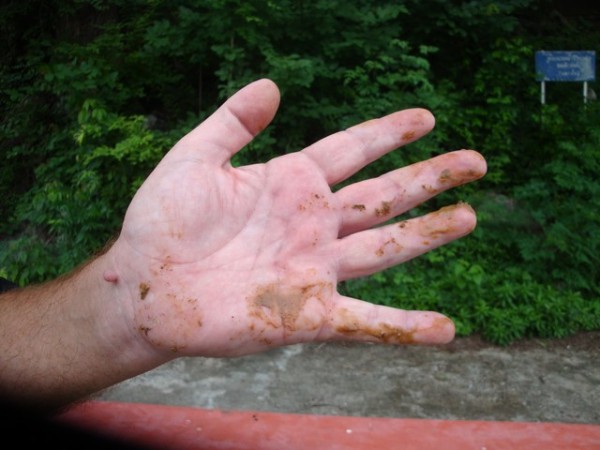 my left hand was still coated in bat droppings