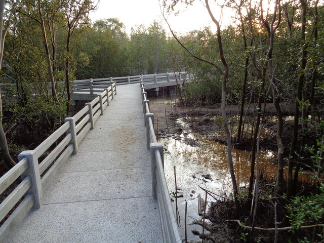 Concrete raised walkways had been created