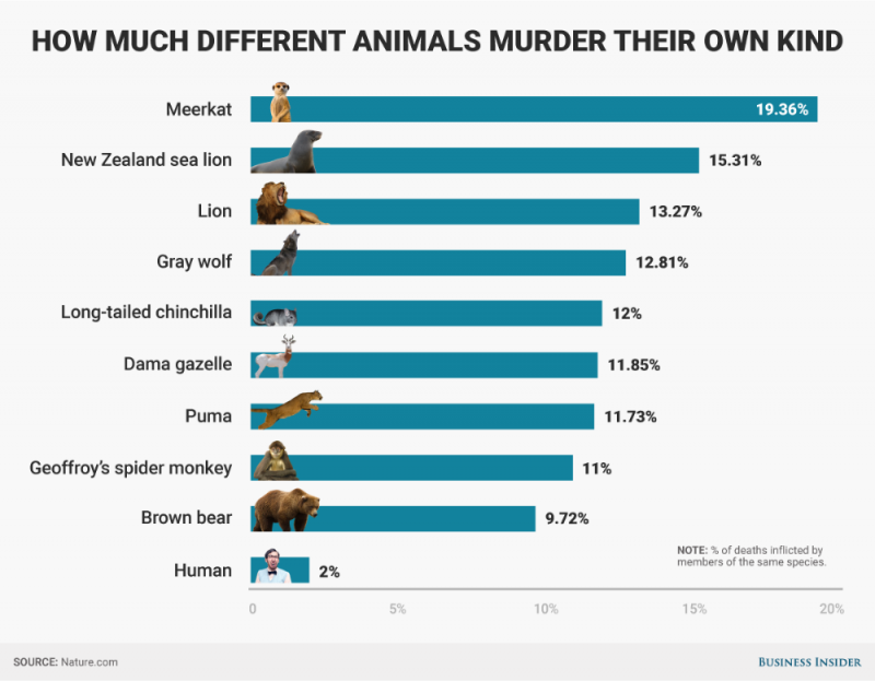 bi-graphics_murderous-animal-percentages.png