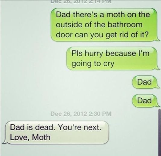 dad v moth2.JPG