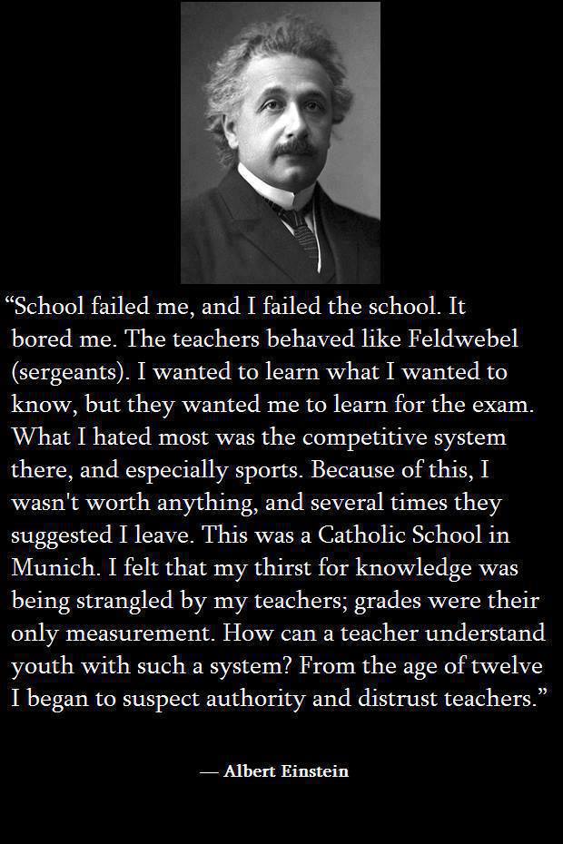 Einstein on schools.jpg