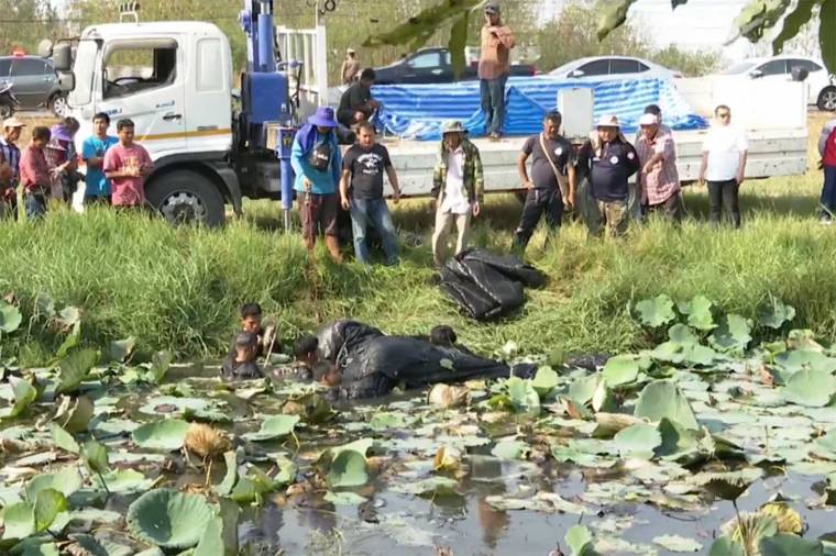 Rescue workers try to retrieve the dead giraffe from a roadside ditch in Chachoengsao province on Thursday. (Screenshot from TV Channel 8)
