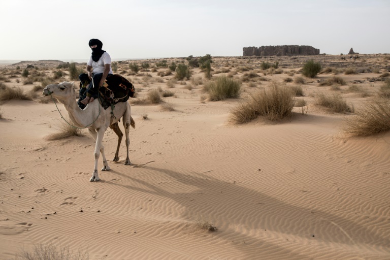 French archaeologist Thierry Tillet has spent nearly 50 years exploring the Sahara.