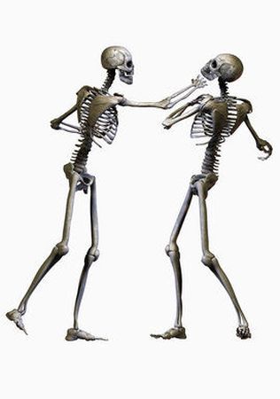 C0060442-Human_skeletons_boxing-SPL.jpg