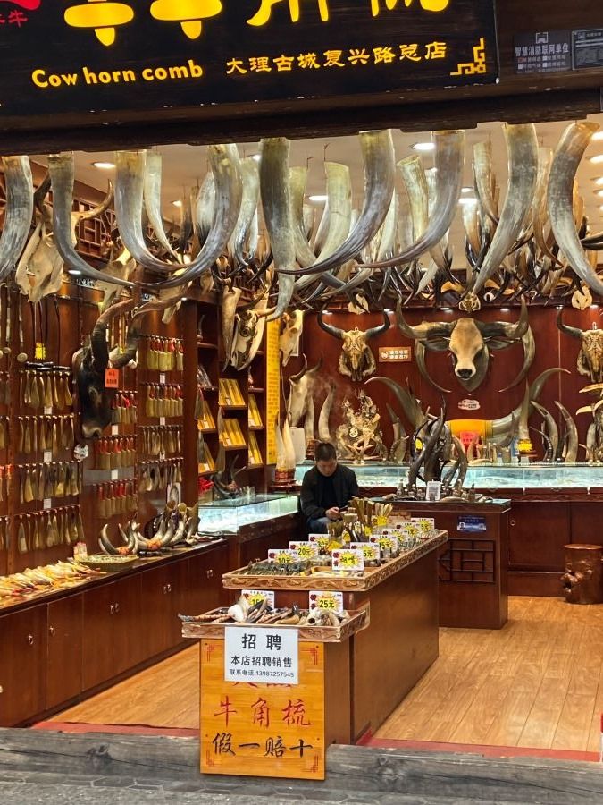 horn shop.jpg