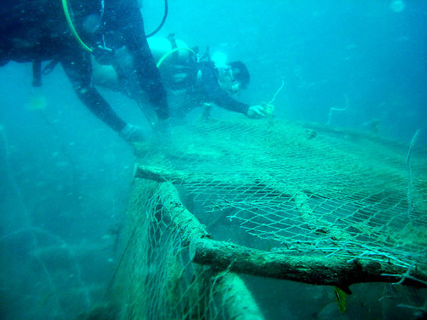 A huge fish trap on the reef ...