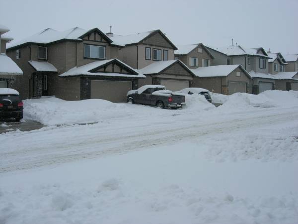 YYC today, brrr