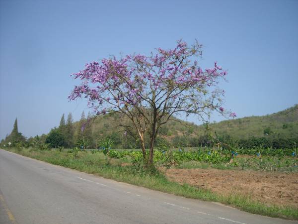 scenery south of Hua Hin toward Dolphin Bay