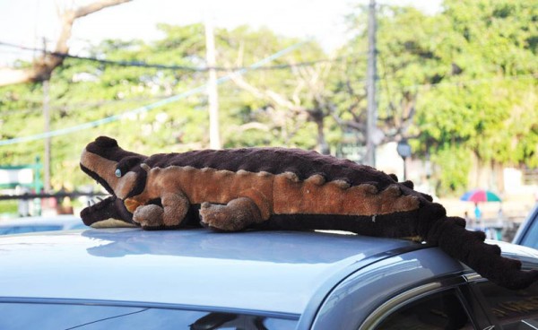 CROCODILE LOPBURI.jpg