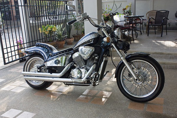steed-2.jpg