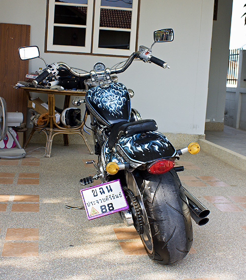 steed-3-web.jpg