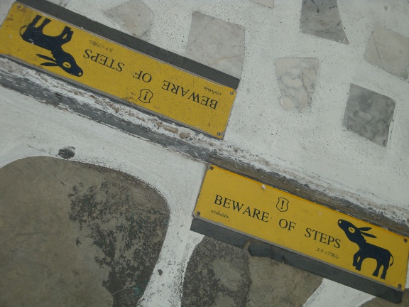 numerous safety warnings about steps