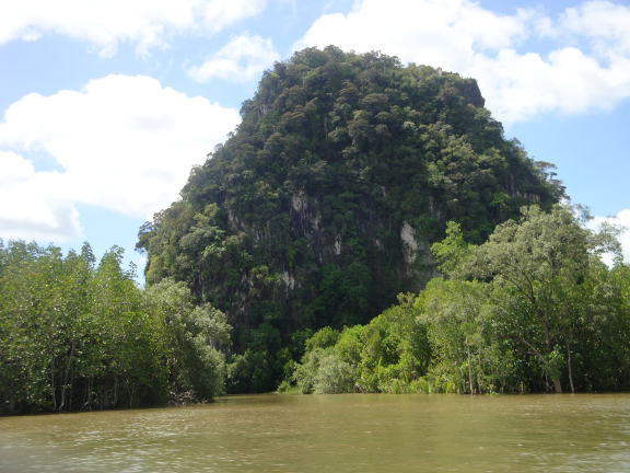 We motored down the river, passing many limestone karsts on the way.