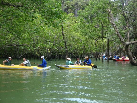 canoe through a mangrove forest, and through a cave.