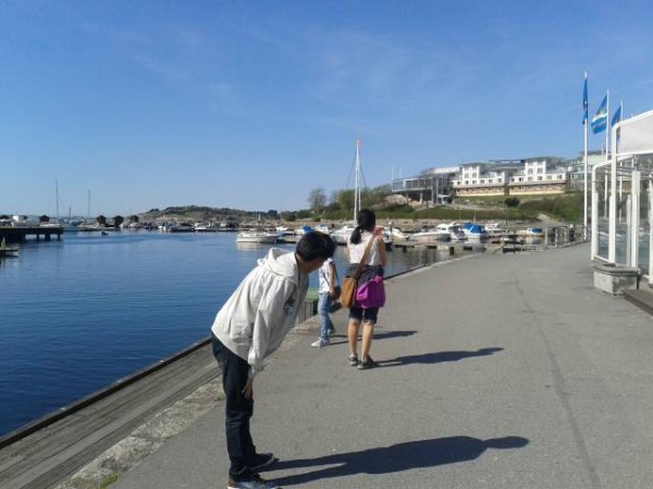 Harbour view of Strømstad and ideal locasion for &quot;Utepils&quot; (Outdoor - Beer