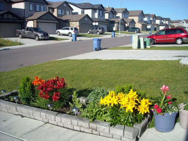 Neighbourhood Summer photo