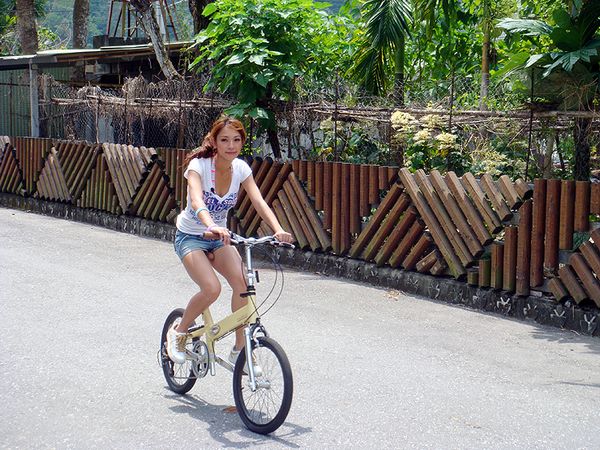bike-seat (converted).jpg