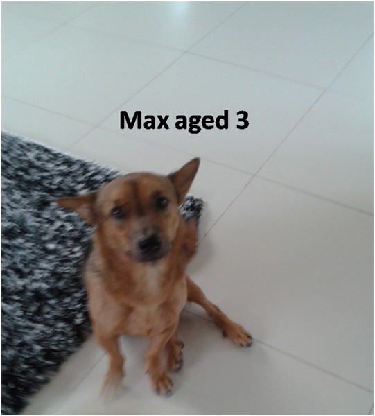 Max01.jpg