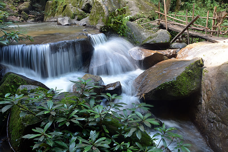 DSC_2206.jpg