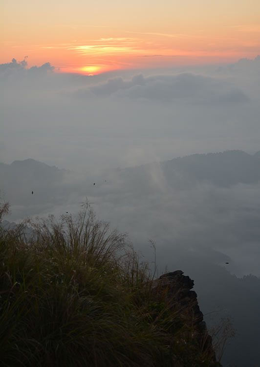 DSC_2383.jpg