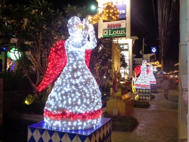 DSC00209.jpg