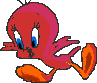 I Tawt I saw a Shinarat.jpg