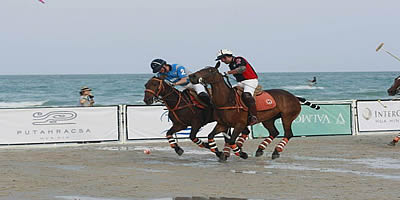 polo.jpg