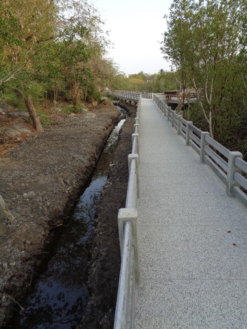 Channels have been dug to direct the water flow