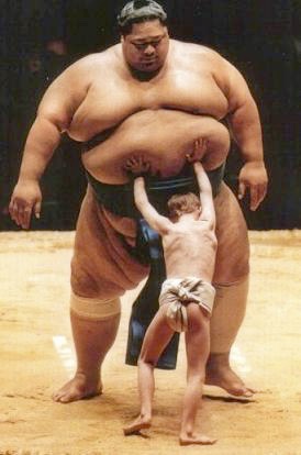 sumo.jpeg