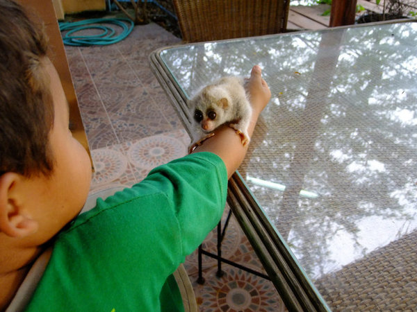 DSCF3152.JPG