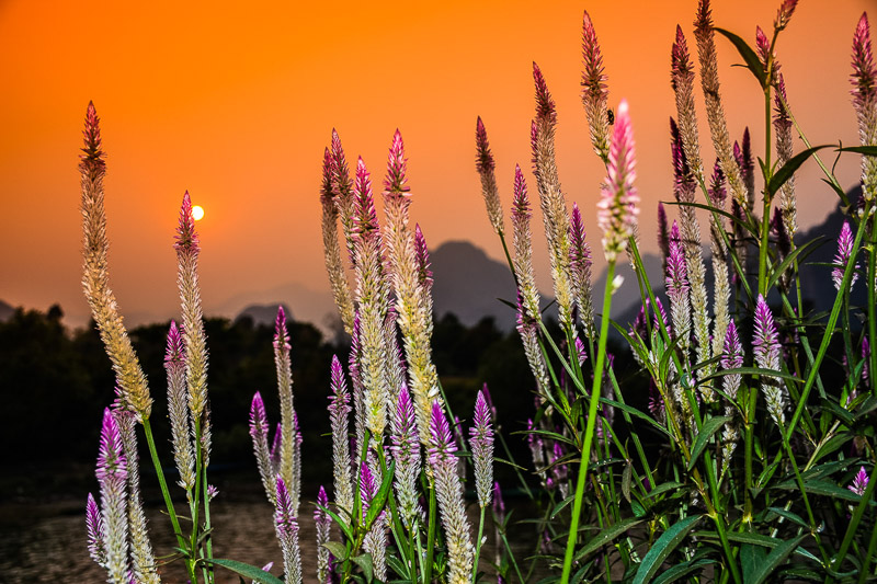 DSC_1833.jpg