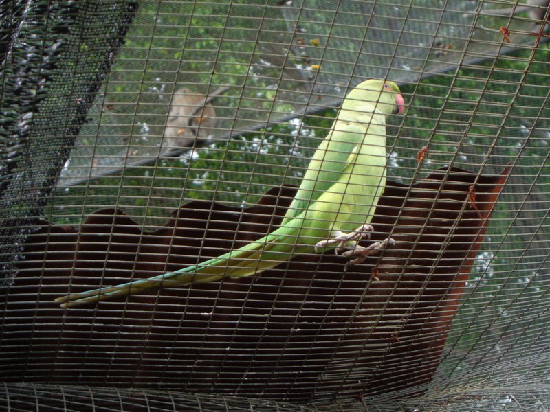 DSC00291.jpg