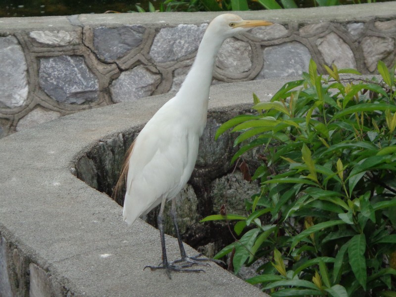 DSC00295.jpg