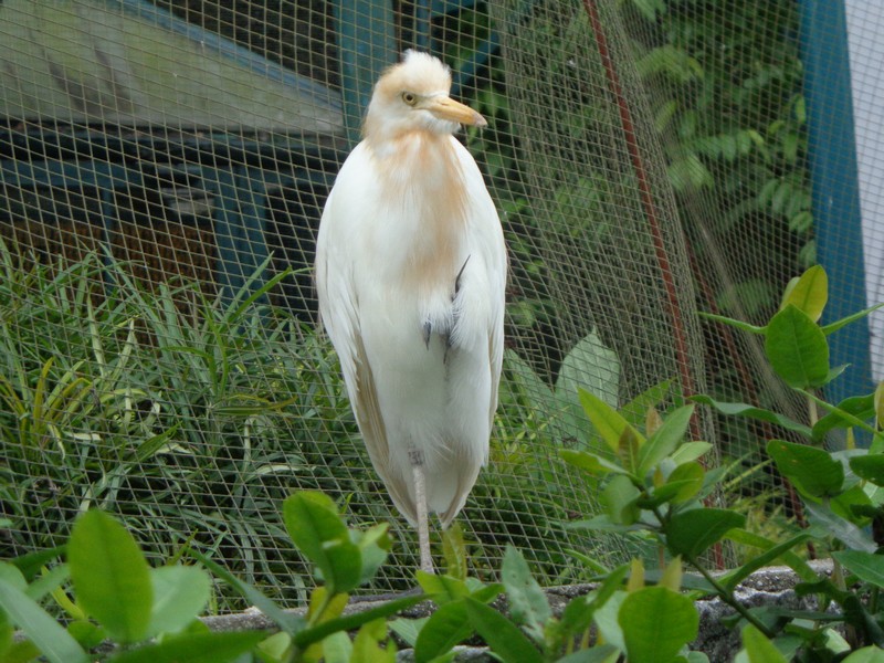 DSC00296.jpg