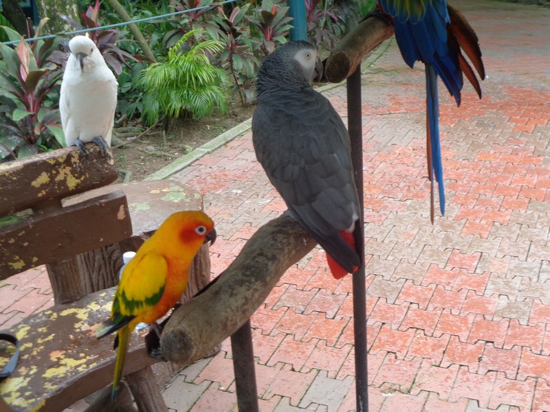 DSC00340.jpg