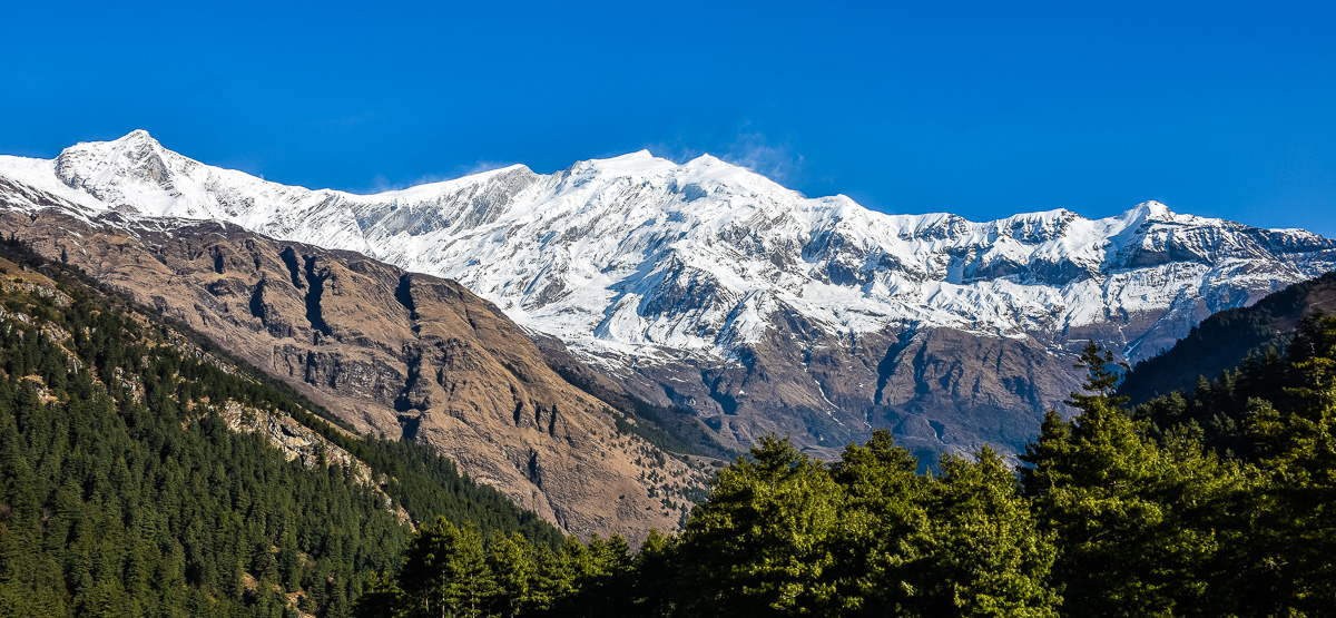 DSC_3380.jpg