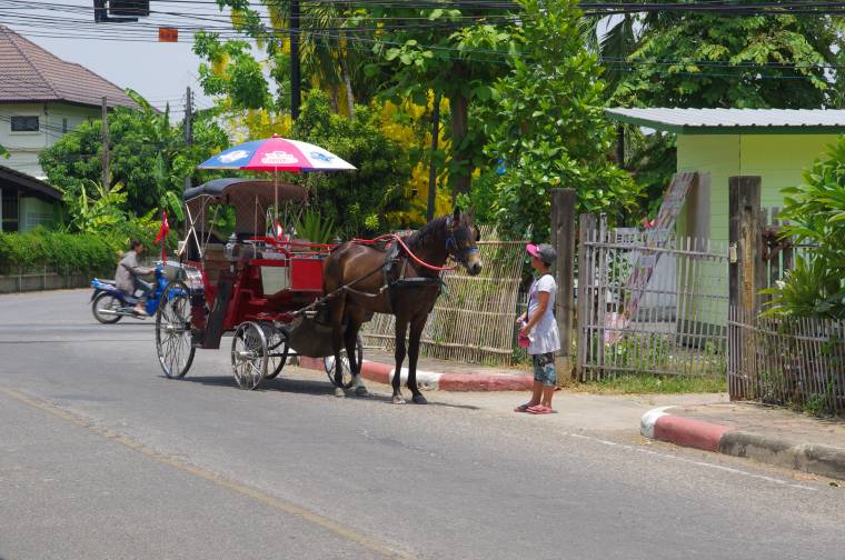 lampang horse 2.jpg