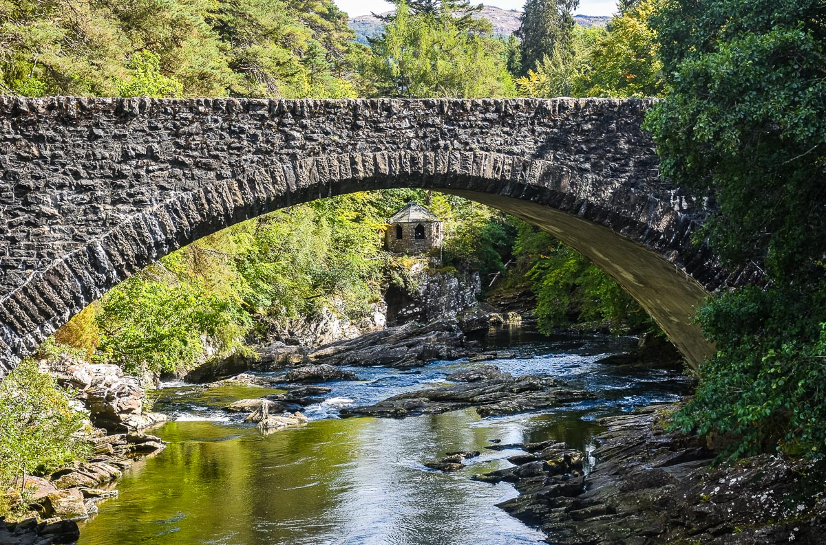 DSC_4491.jpg