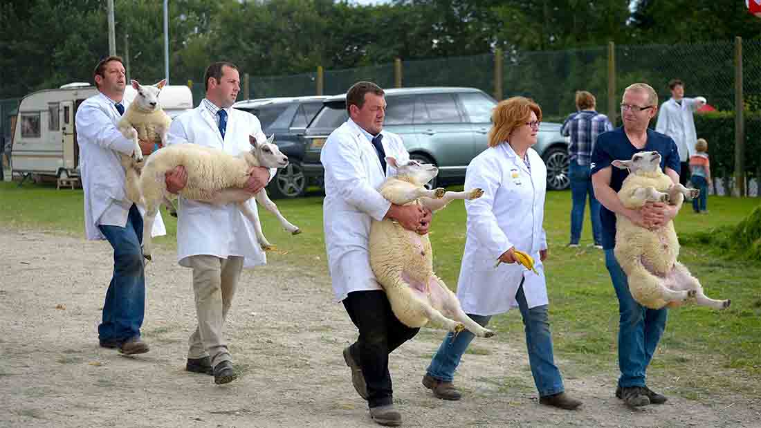 090916_p11_caption_comp_sept__Farmers_Guardian_GYS-6913.jpg