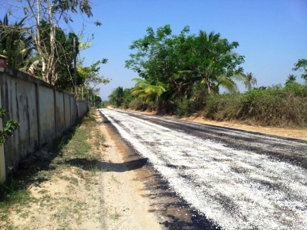 20120321_102441.jpg