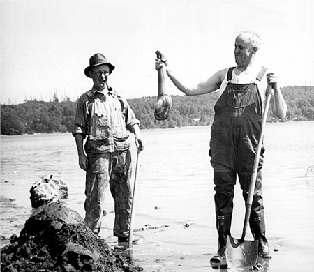 Geoduck.jpg
